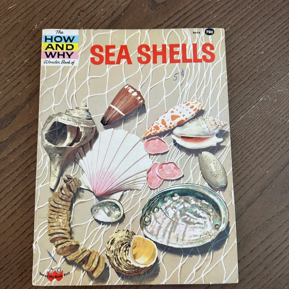 Vintage How & Why Wonder Book of Sea Shells Softcover Retro Nature Illustration